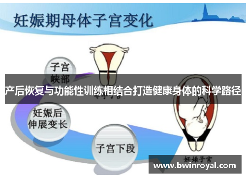 产后恢复与功能性训练相结合打造健康身体的科学路径